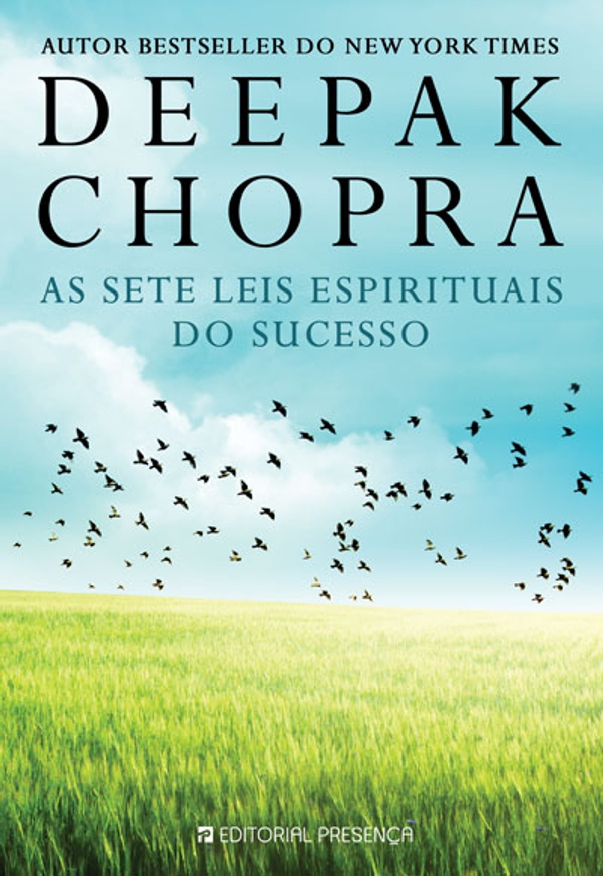 As Sete Leis Espirituais do Sucesso de Deepak Chopra